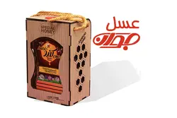 عسل ۱۰۰۰ گرم انگبین سفارشی - به سیب