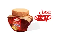 عسل زنجبیل بسته بندی نیم کیلویی - به سیب