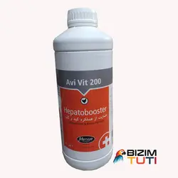 کبد و کلیه شو MERVUE