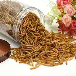 میلورم مخصوص پرندگان زینتی