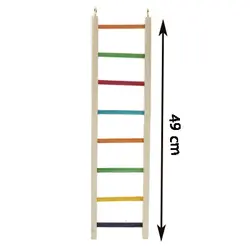 نردبان بزرگ طوطی سانان