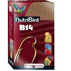 پلت میوه ای B14ورسلگا - Bizim Tuti بیزیم طوطی