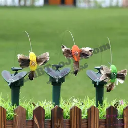 پرنده‌های رمانتیک چرخشی و لرزان