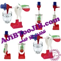 پرنده آبنوش الاکلنگی (جادویی)
