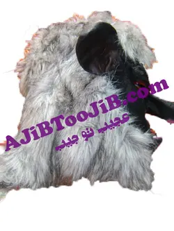 ماسک گرگ وحشی