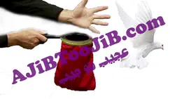 کیسه ظاهر شدن کبوتر (سطح حرفه ای)