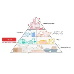 هویج فله – 1 کیلوگرمCarrot 1000gr