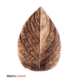 فرش سه بعدی زرباف طرح برگ