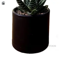 خرید + قیمت آلوئه ورا زینتی ابلق 🍀 خرید گیا آلوئه ورا