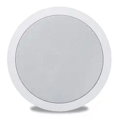 اسپیکر 30 وات - هوشمند سازی ارمغان گستر