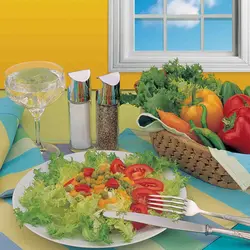 کیسه سبزی 2 تکه رزین تاژ طرح رابید آبی کتان