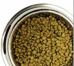 غذای خشک بچه گربه مرغ و برنج برند FaraFood