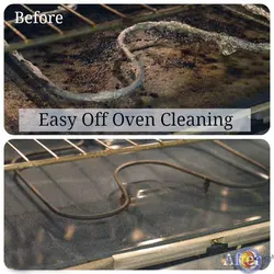 اسپری گاز پاک کن ایزی آف Easy-Off Oven بنفش