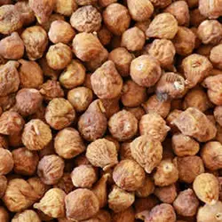 انجیر معمولی نیم کیلویی