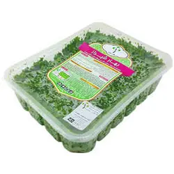 سبزی قورمه منجمد 500 گرمی بهار شیراز