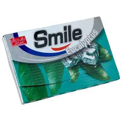 آدامس اکالیپتوس 7 عددی اسمایل