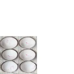 تخم مرغ 6 عددی عدل