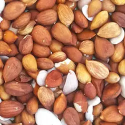 مغز زرد آلو 60 گرمی