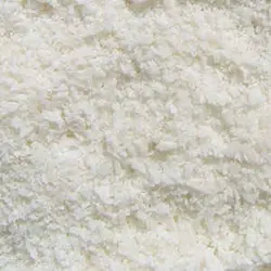 پودر نارگیل چرب 100 گرمی