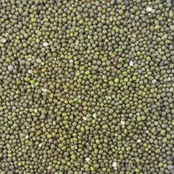ماش ریز 500 گرمی