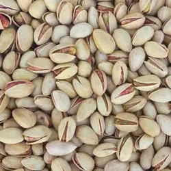پسته نمکی 500 گرمی احمد آقایی