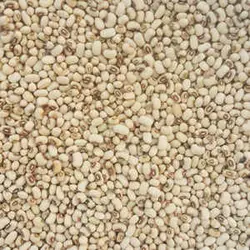 لوبیا چشم بلبلی ریز (پاک شده) 500 گرمی