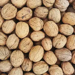 گردو چینی شسته 250 گرمی