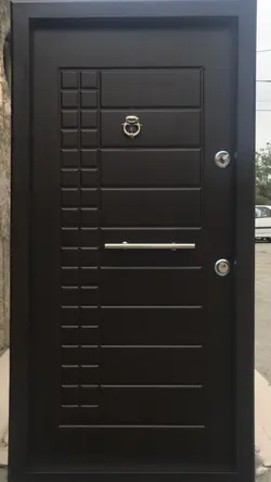 درب ضد سرقت ونگه مدل نگین سری D - ایلماز درب
