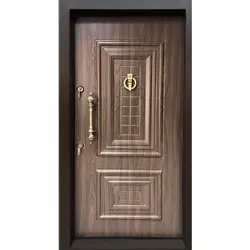 درب ضدسرقت دوقاب ونوس کد2037 - ایلماز درب