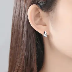 Crystal earrings