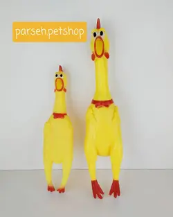 مرغ لاتکسی سوتک دار در دوسایز