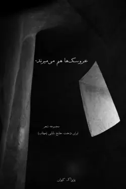 عروسک‌ها هم می‌میرند؛ ایراندخت خلج‌بابایی