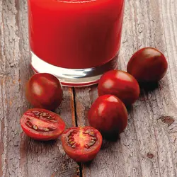 بذر گوجه گیلاسی چاکلت ایتالیایی پک 1000 عددی
