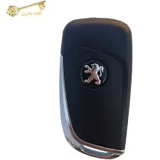 ریموت پژو 206 لوکس مولتی پلکس مدل NB11