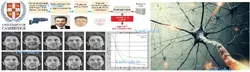 برنامه تشخیص چهره با شبکه عصبی پرسپترون چند لایه