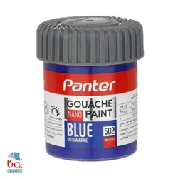 نانو پوشرنگ گواش 12 رنگ پنتر