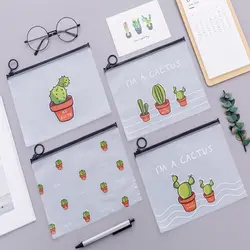 پوشه کاکتوس