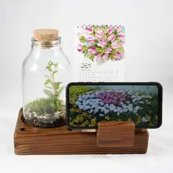 تراریوم پایه چوبی طرح باغچه