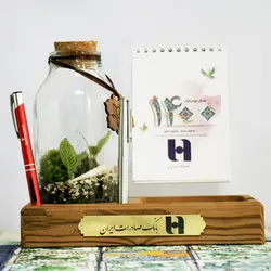 تراریوم پایه چوبی طرح باغچه