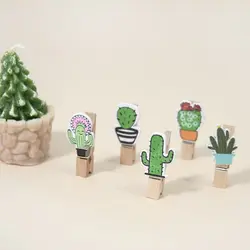 گیره عکس طرح کاکتوس