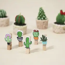 گیره عکس طرح کاکتوس