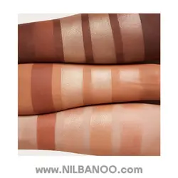 پالت 4 رنگ کانتور و هایلایتر شیگلم رنگ Dune