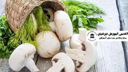 دوره پرورش قارچ دکمه ای