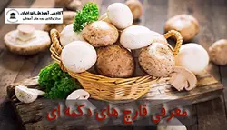 دوره پرورش قارچ دکمه ای