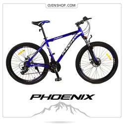 دوچرخه کوهستان فونیکس PHOENIX سایز ۲۴ اینچ - ۲۱ دنده - مدلZK100