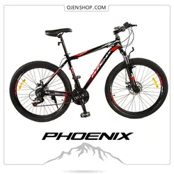 دوچرخه کوهستان فونیکس PHOENIX سایز ۲۴ اینچ - ۲۱ دنده - مدلZK100