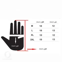 دستکش دوپوش مردانه SNOWHAWK C2131