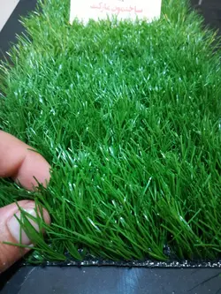 چمن مصنوعی 35 میل بهاره