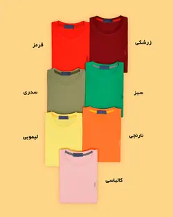 تیشرت Polo 507 - فروشگاه اینترنتی مدافمیلی