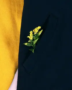 بلوز بامبر لیکرز 900 - فروشگاه اینترنتی مدافمیلی